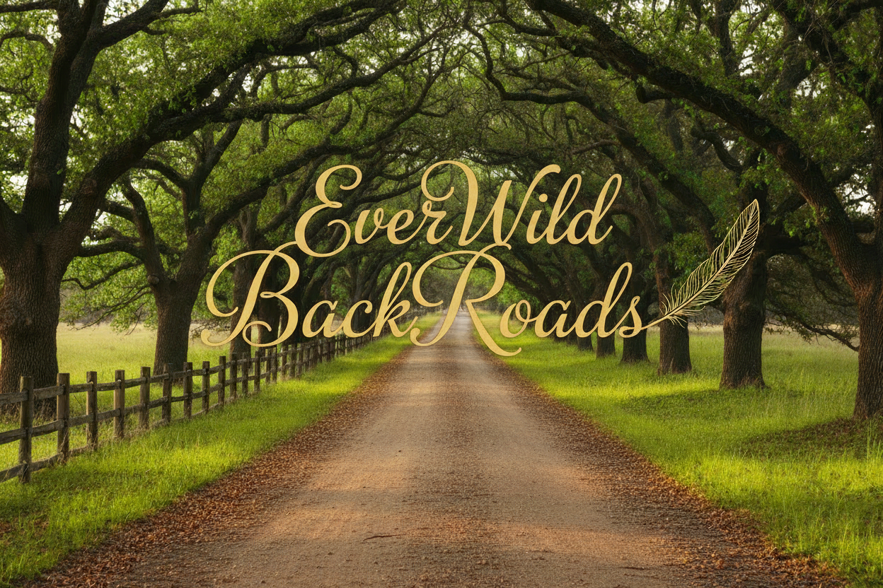 EverWild BackRoads Banner