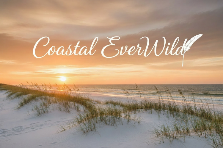 Coastal EverWild collection banner